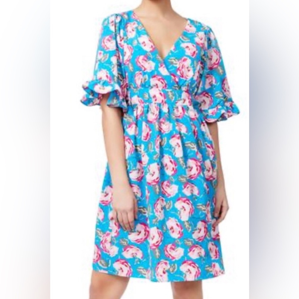Betsey Johnson Size 8 blue with pink roses V neck dress!!!